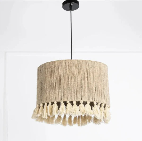 Modern Ceiling Lamp