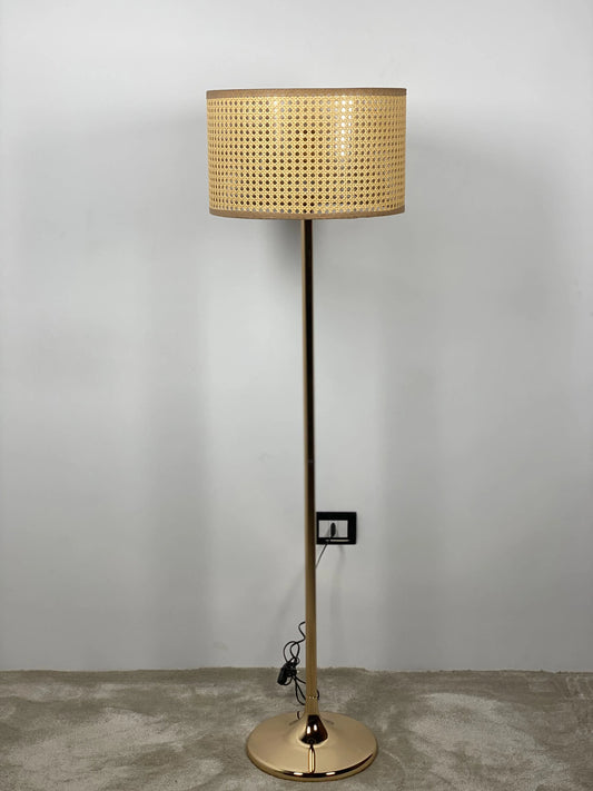 Rattan Floor Lamp  Size: 160cm × 40 cm