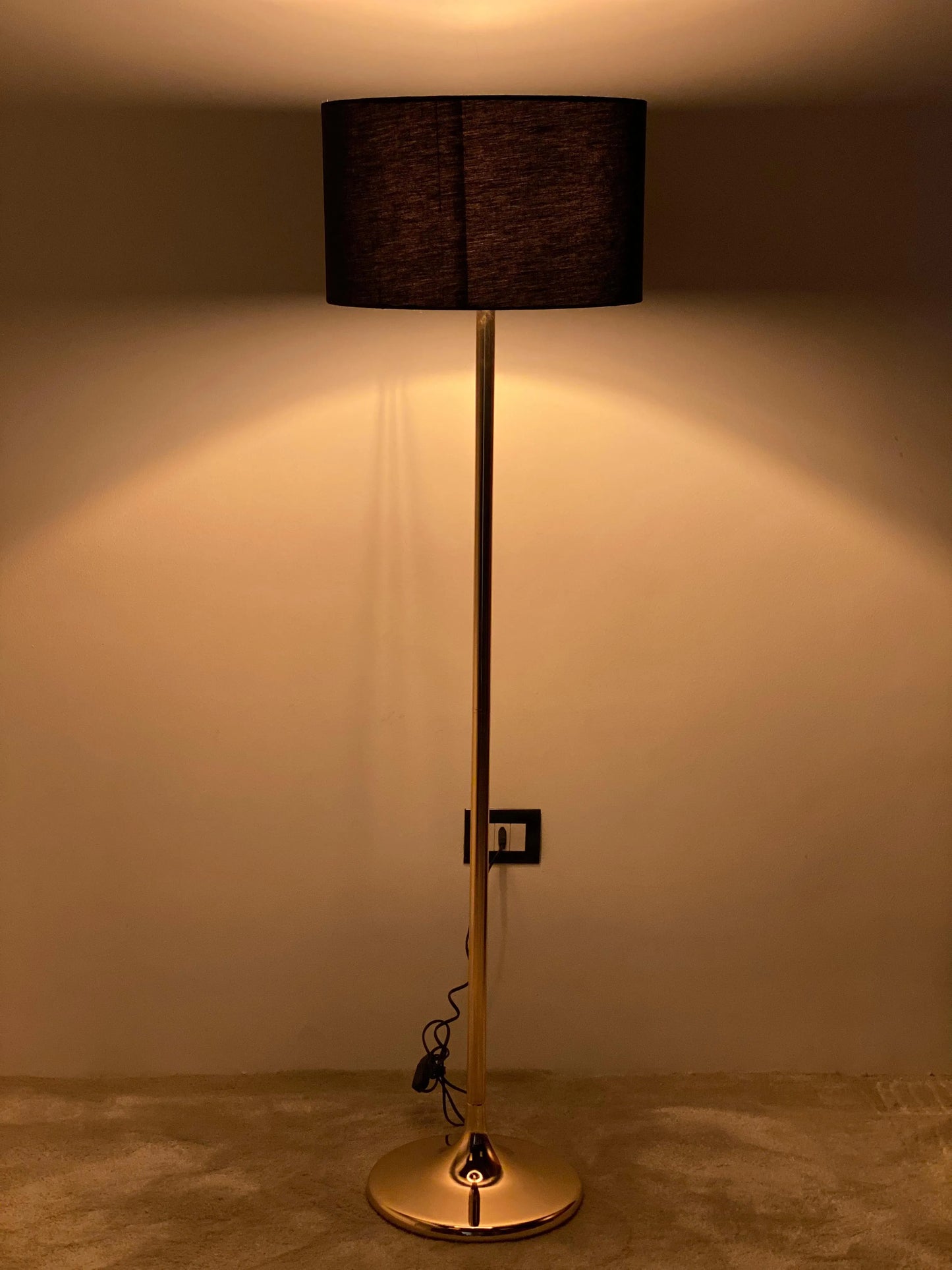 Modern Floor Lamp  Size: 150cm × 40 cm