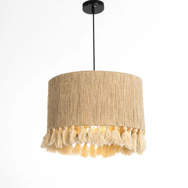 Modern Ceiling Lamp